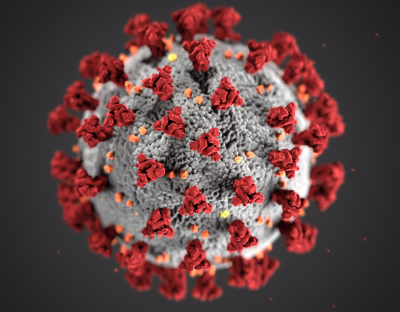 cGMP vaccine adjuvant development